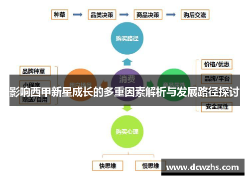 影响西甲新星成长的多重因素解析与发展路径探讨