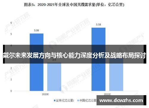 戴尔未来发展方向与核心能力深度分析及战略布局探讨